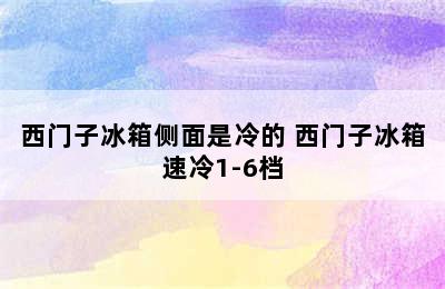 西门子冰箱侧面是冷的 西门子冰箱速冷1-6档